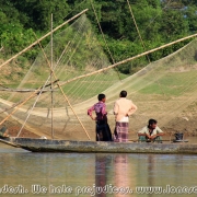 Ratargul Swamp Forest_35